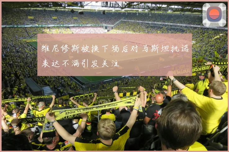 维尼修斯被换下场后对马斯坦托诺表达不满引发关注